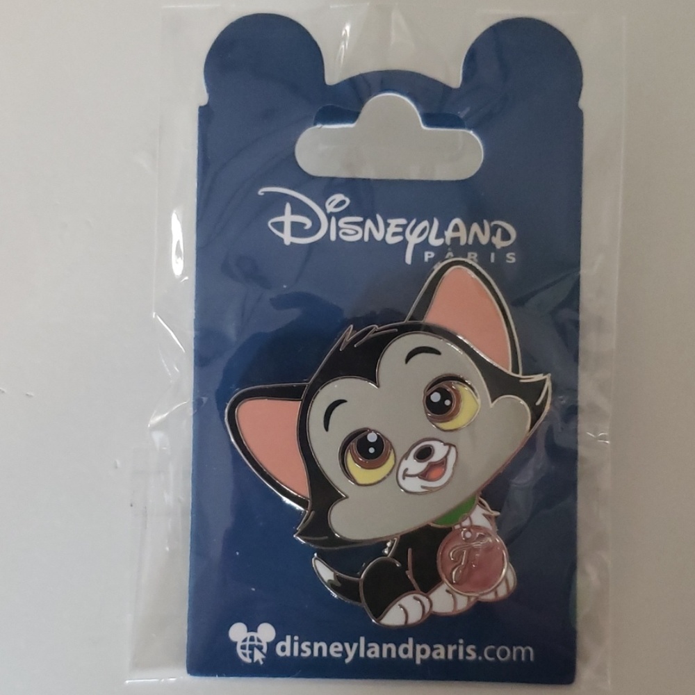 Disneyland pin
